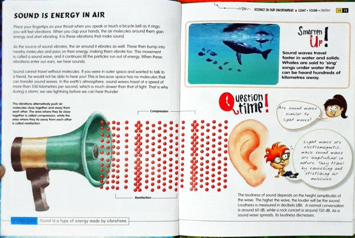 Science in our Environment: Light, Sound, Energy