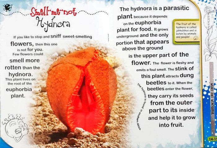 Weird and Wonderful: Plants