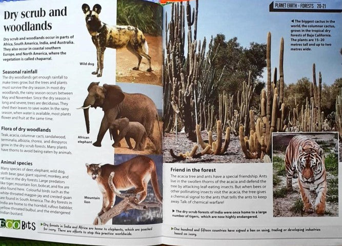 Planet Earth: Forests