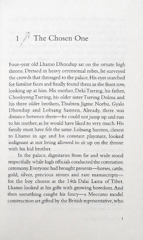 The 14th Dalai Lama Buddha Of Compassion