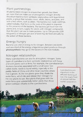 Microlife The Benefits of Bacteria