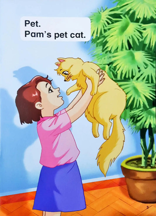 The Cat in the Net : Key Words With Sam & Pam 2a