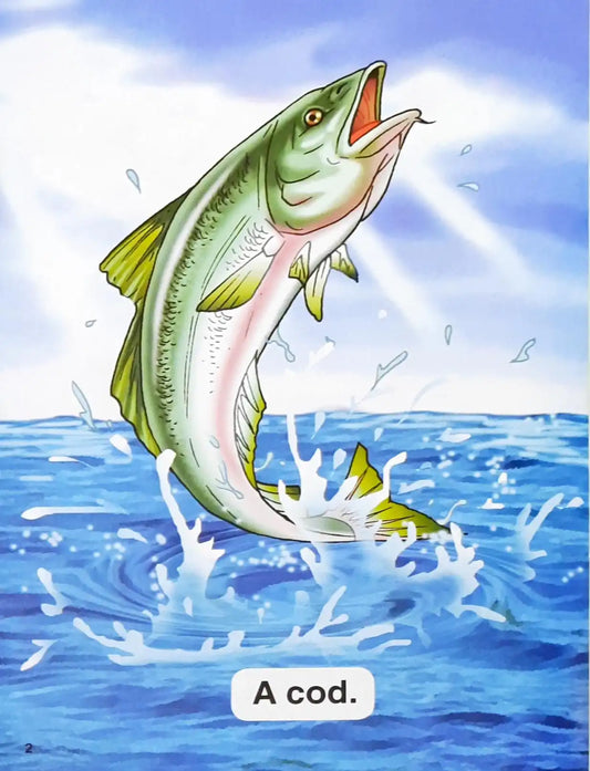 The Cod, the Dog and the Fox : Key Words With Sam & Pam 4a