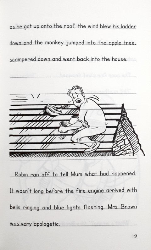 The Diaries of Robin's Travels - Rio de Janeiro