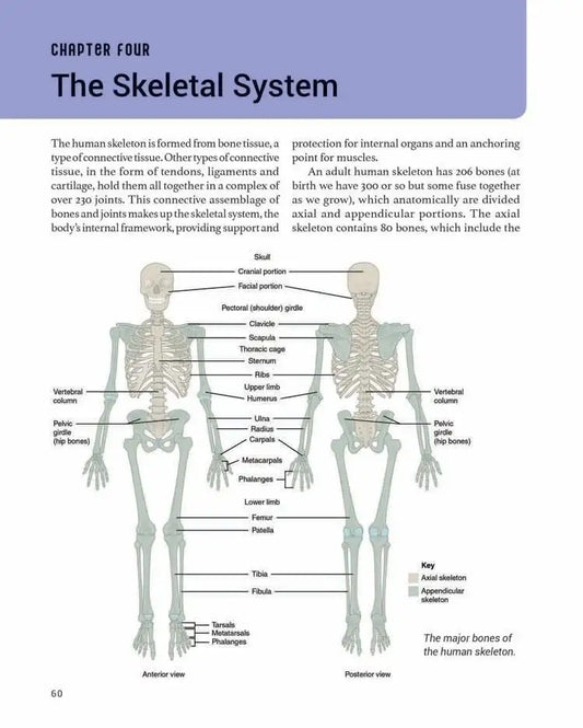 The Human Body | Hardcover