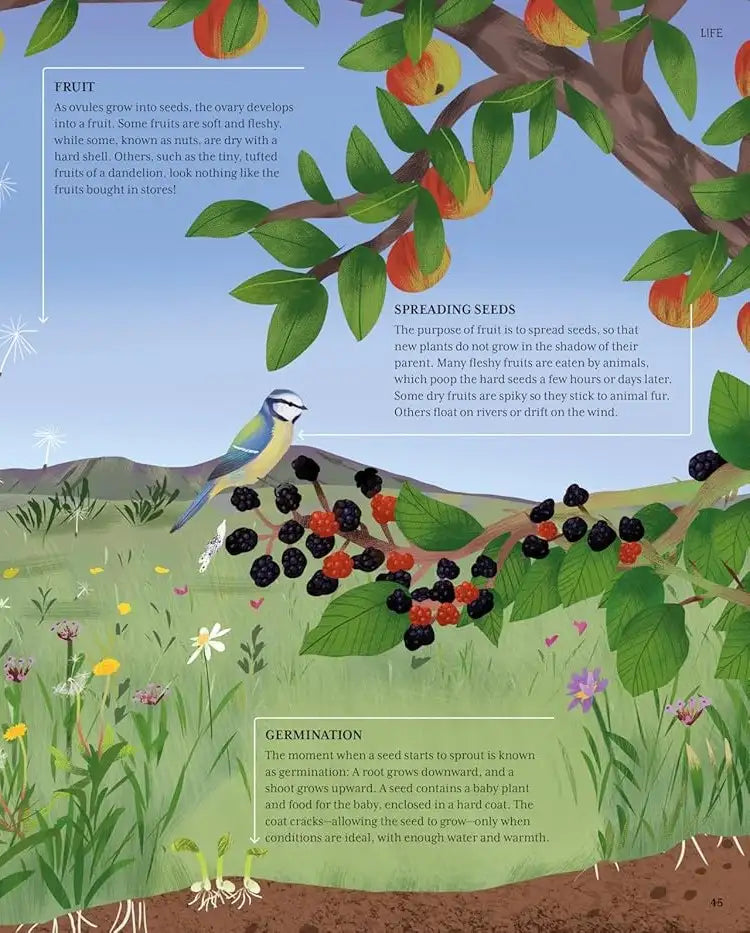 The Illustrated Encyclopedia of Science | Hardcover