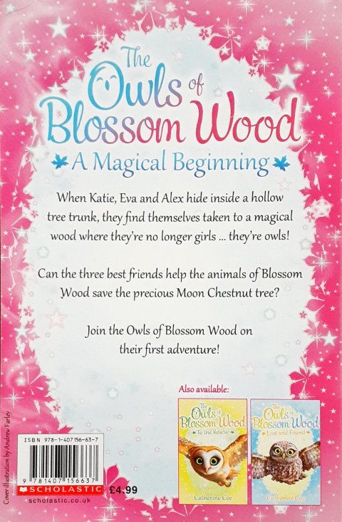 The Owls Of Blossom Wood A Magical Beginning
