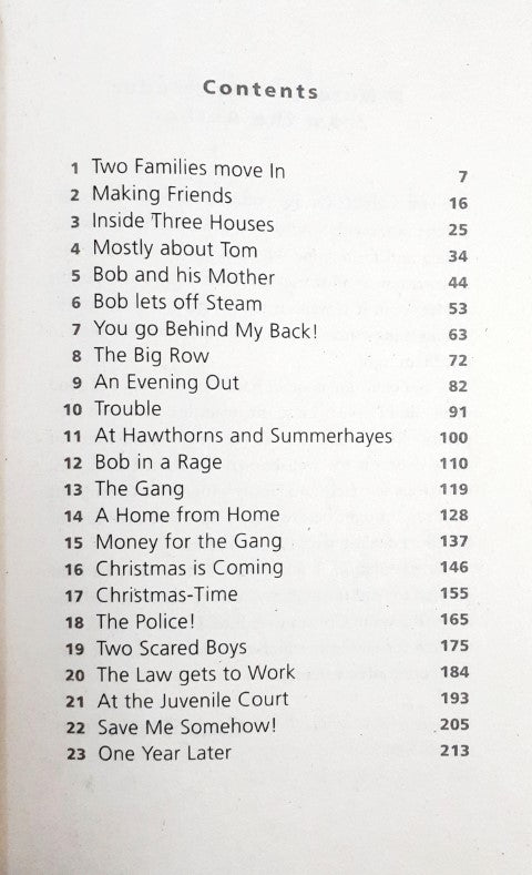 The Six Bad Boys - Family Adventures