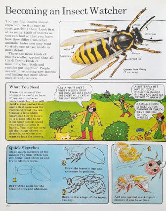 The Usborne Naturetrail Omnibus 6 Usborne Books In 1