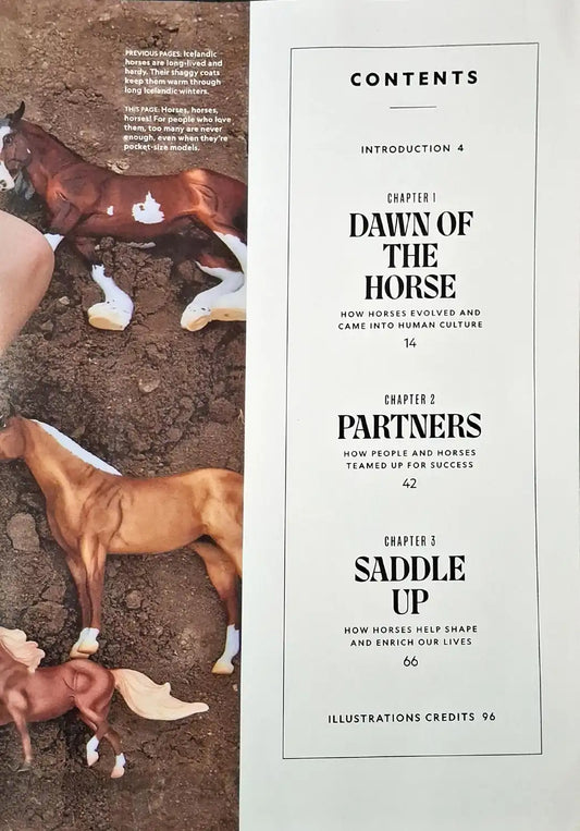 National Geographic : The Secret Life of Horses