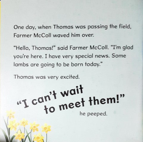 Thomas and Friends Engine Adventures Thomas And The Spring Surprise