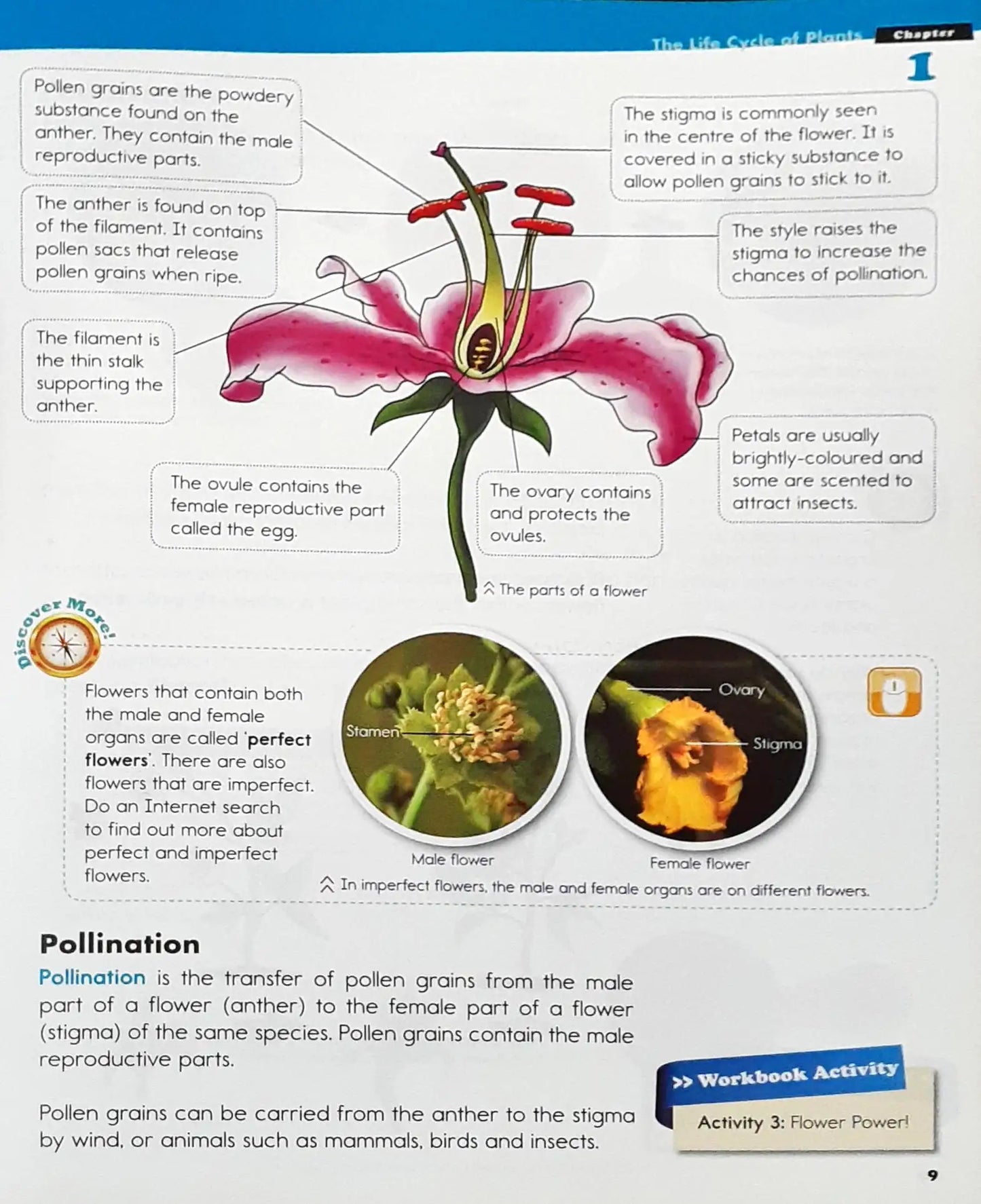 Top Science Textbook 5 (P)