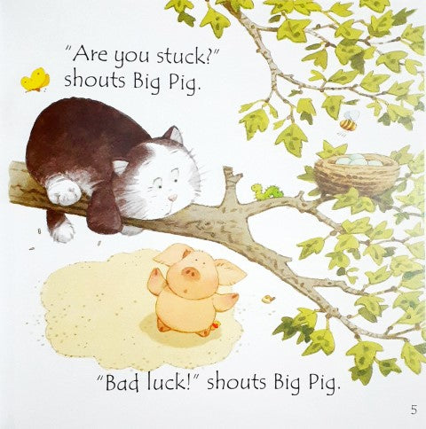 Fat Cat on a Mat - Usborne Phonics Readers