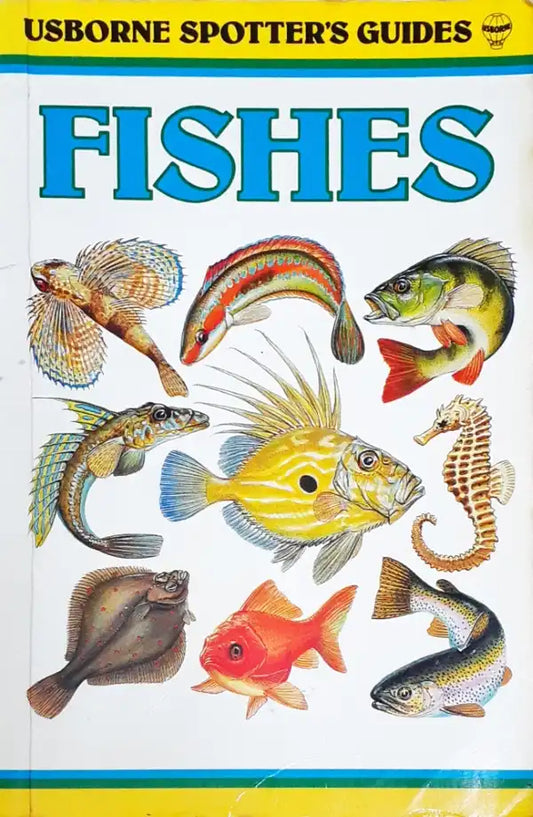 Usborne Spotter's Guides Fishes (P)