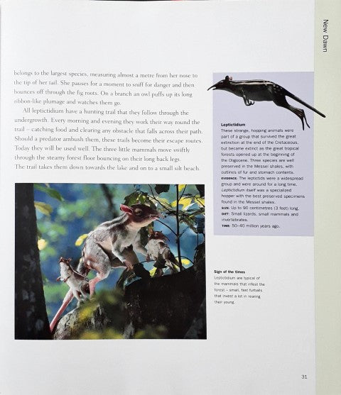 BBC Walking With Beasts A Prehistoric Safari