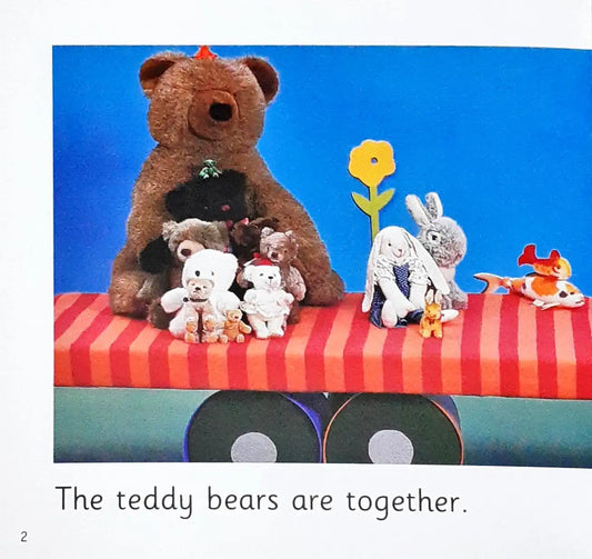 Longman Pelican Maths Readers Which Belong Together