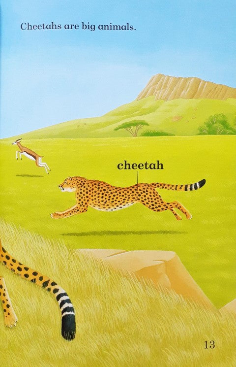 Read It Yourself With Ladybird Level 2 Wild Animals