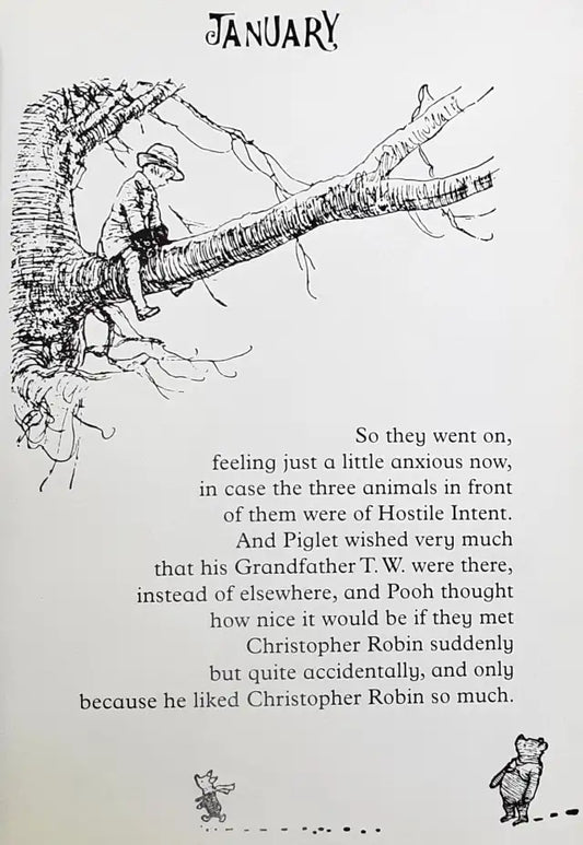 Winnie The Pooh Birthdays (P)