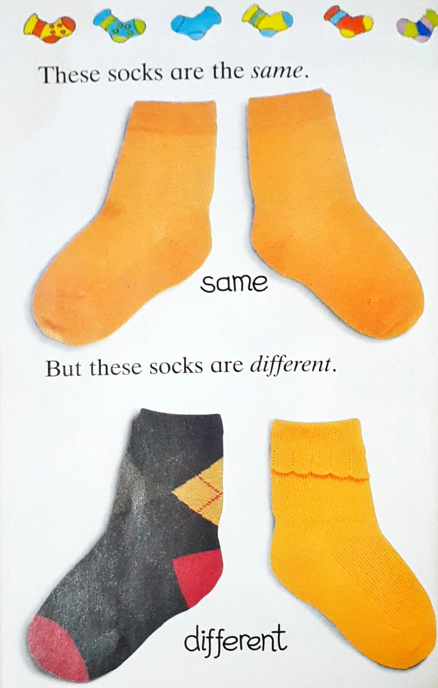 First Steps with Ladybird : Sorting and Opposites (P)