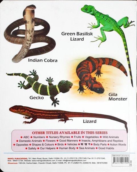 My First Board Book of Insects Amphibians And Reptiles - Wipe & Clean
