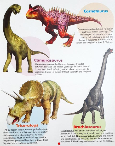 My First Book of Dinosaurs Wipe And Clean