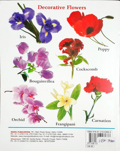 My First Book of Flowers Wipe And Clean