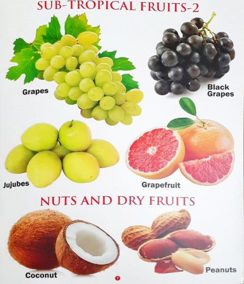 My First Book of Fruits Wipe And Clean