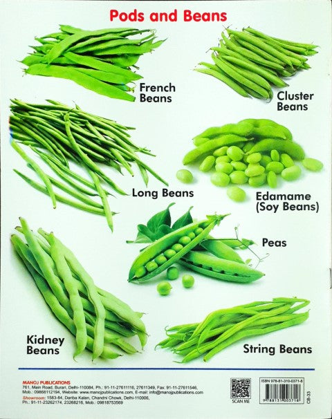 My First Book of Vegetables Wipe And Clean