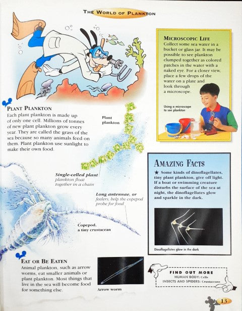 Disney The Wonderful World Of Knowledge: Animals Of The Sea (P)