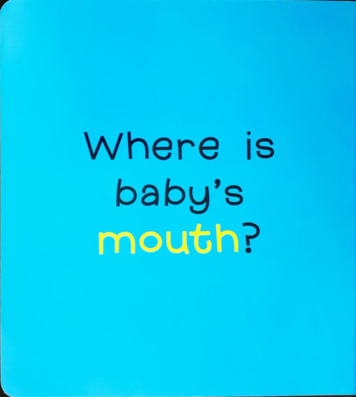 Where Is Baby’s Belly Button? - A Karen Katz Lift The Flap Book