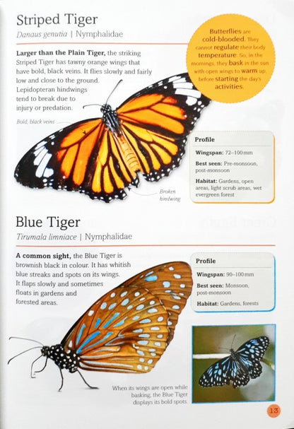 100 Indian Bugs & Butterflies