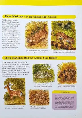 A Child's First Library Of Learning Wild Animals - Image #5