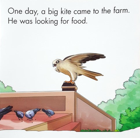 The Hawk The Kite And The Pigeons / The Robin And The Sparrow - Early Readers 2 in 1