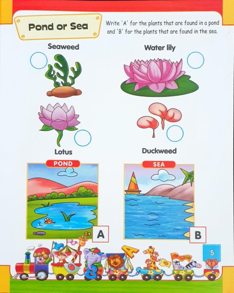 2nd Activity Book Environment (4+)