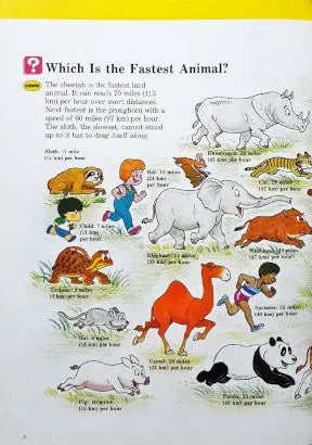 A Child's First Library Of Learning Wild Animals - Image #4