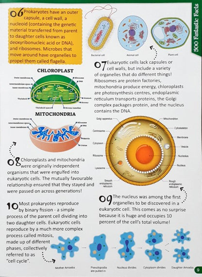 500 Fantastic Facts Biology STEM An Introduction to Science