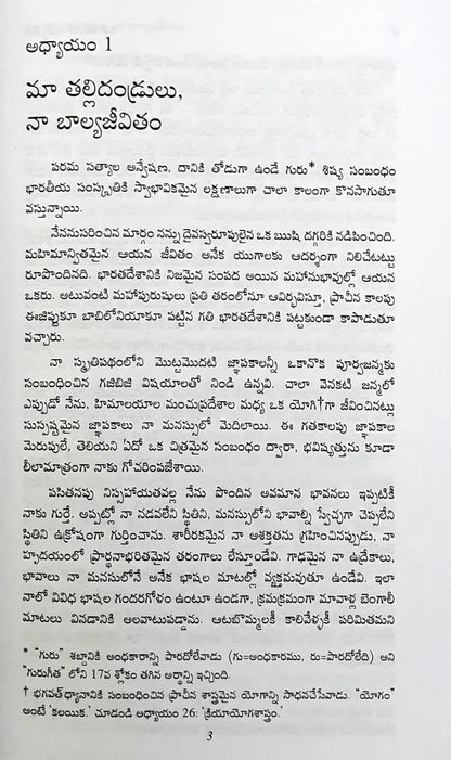 The Autobiography of a Yogi (Telugu) - Image #9