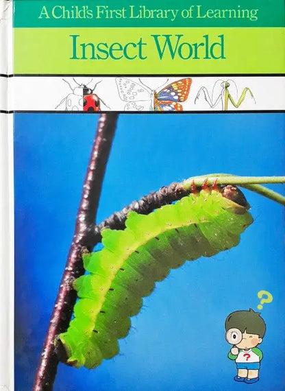 A Child's First Library Of Learning Insect World - Image #1