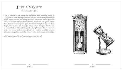 Newton's Puzzles