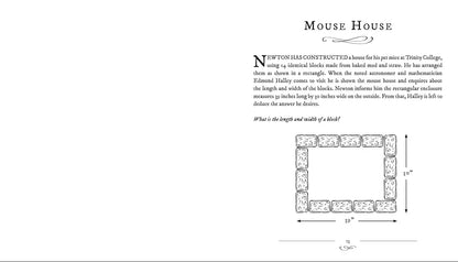 Newton's Puzzles