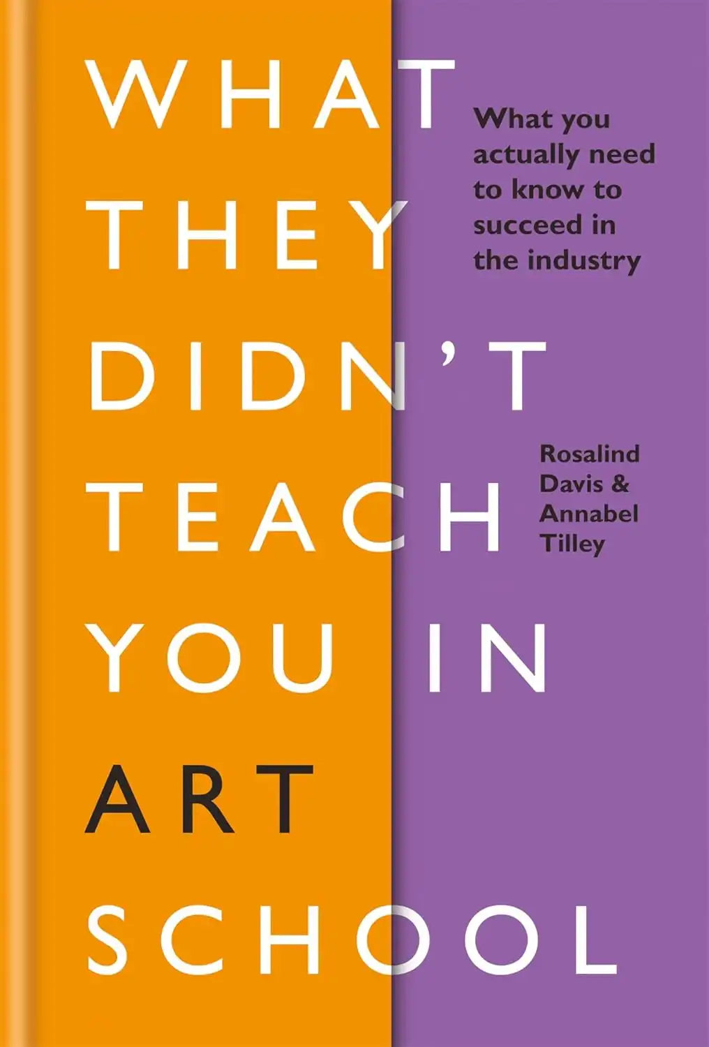 What they Didn`t Teach you in Art School | Hardcover