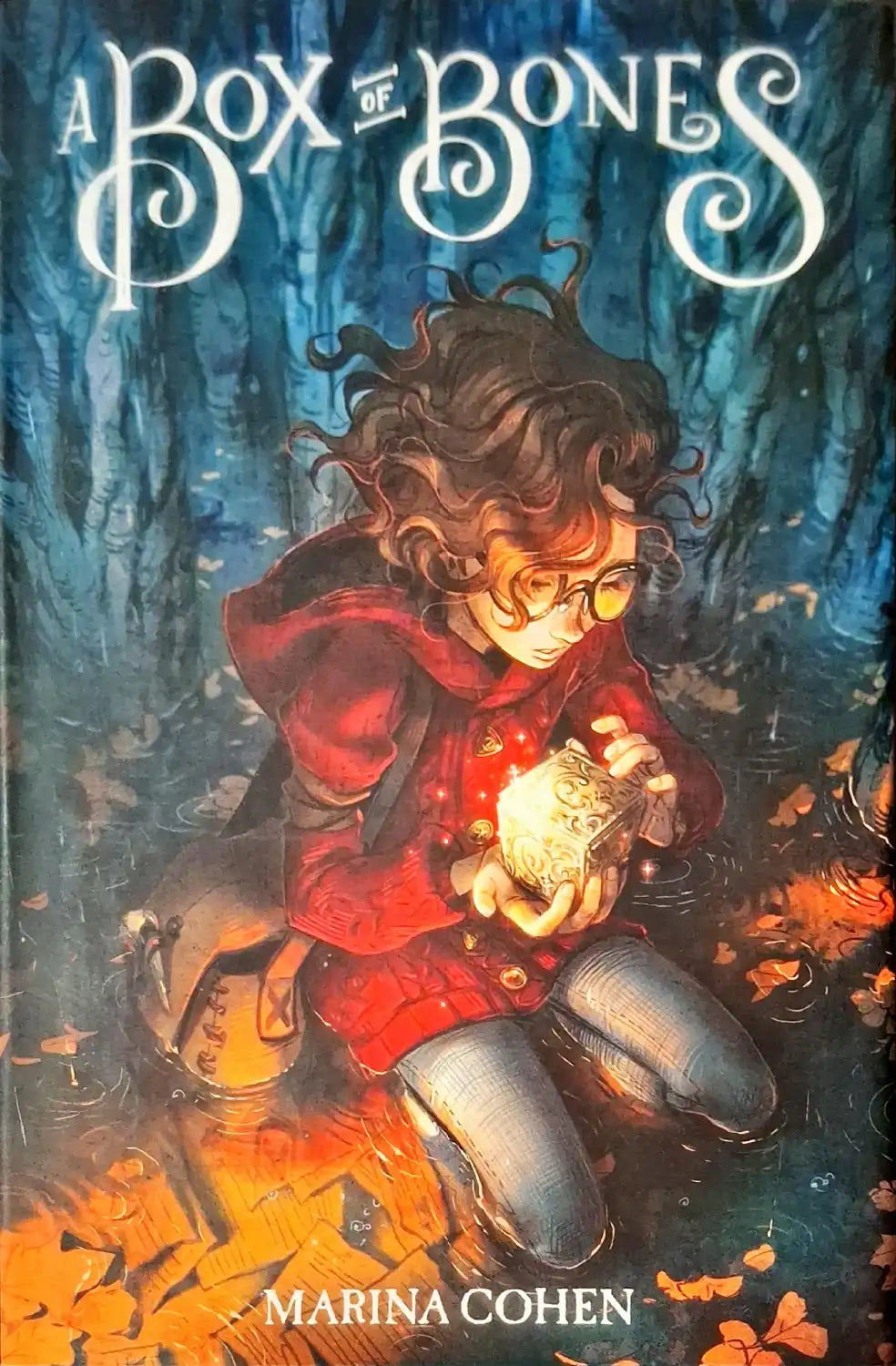 A Box of Bones | Hardcover