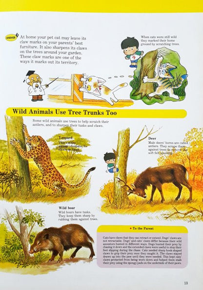 A Child's First Library Of Learning Animal Friends