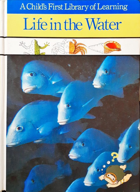 A Child's First Library Of Learning Life In The Water