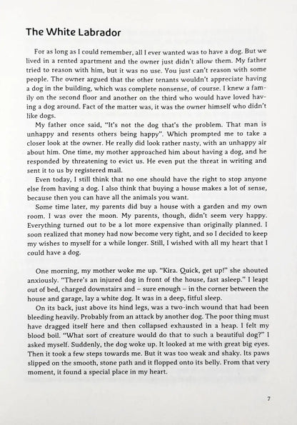 A Dog Called Money : A Fun Way to Learn How to be Wealthy and Successful