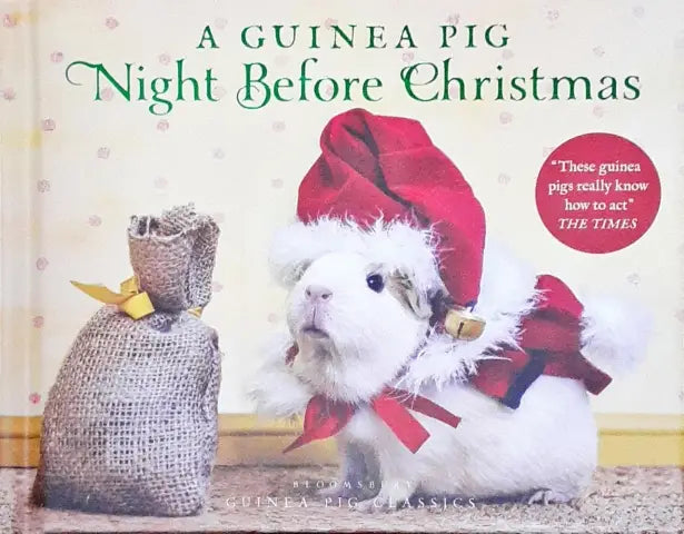 A Guinea Pig Night Before Christmas