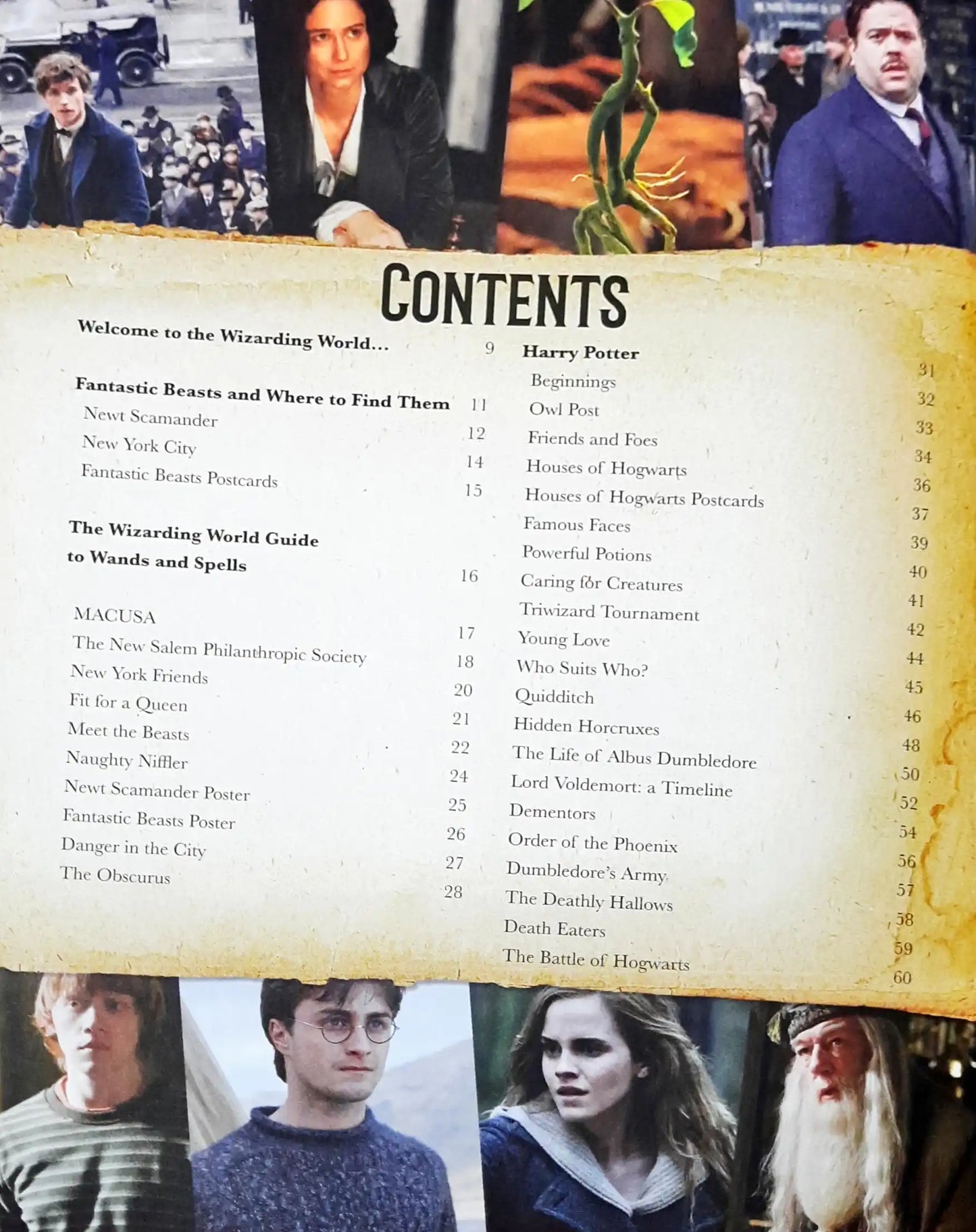 Harry Potter : Wizarding World Yearbook | Hardcover