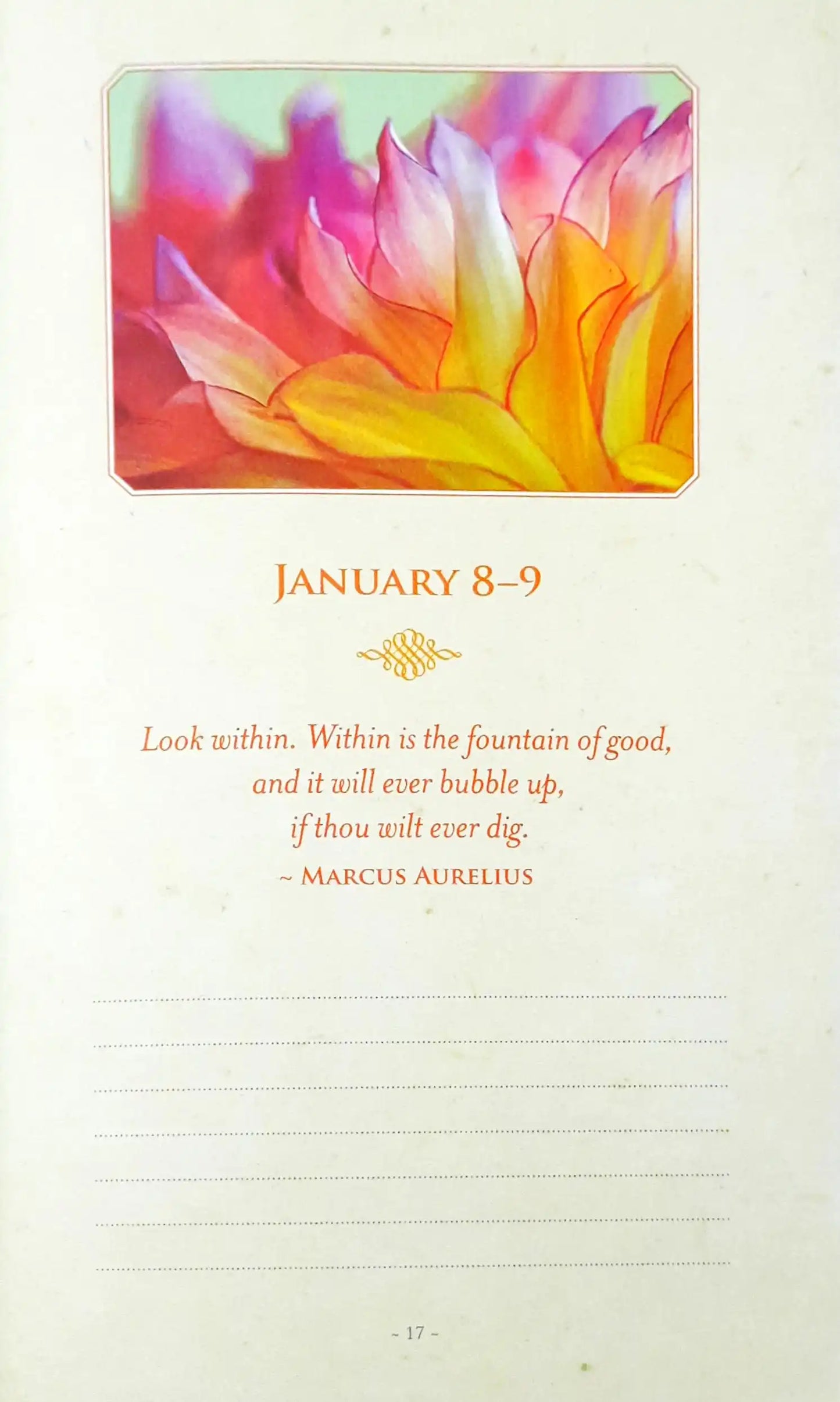 A Year of Daily Joy : A Guided Journal to Creating Happiness Every Day