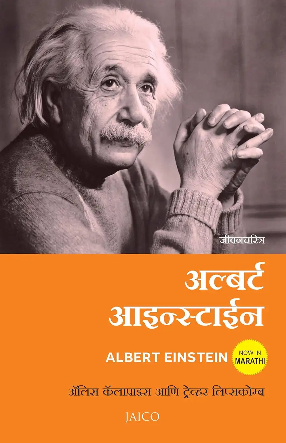 Albert Einstein : A Biography | Marathi