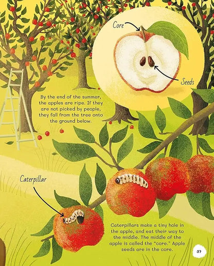 All About Trees | Hardcover